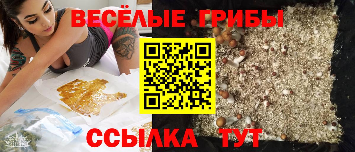 Галлюциногенные грибы прущие грибы  Псилоцибиновые грибы GOLDEN TEACHER  купить наркотики цена  Егорьевск  Вход с VPN 