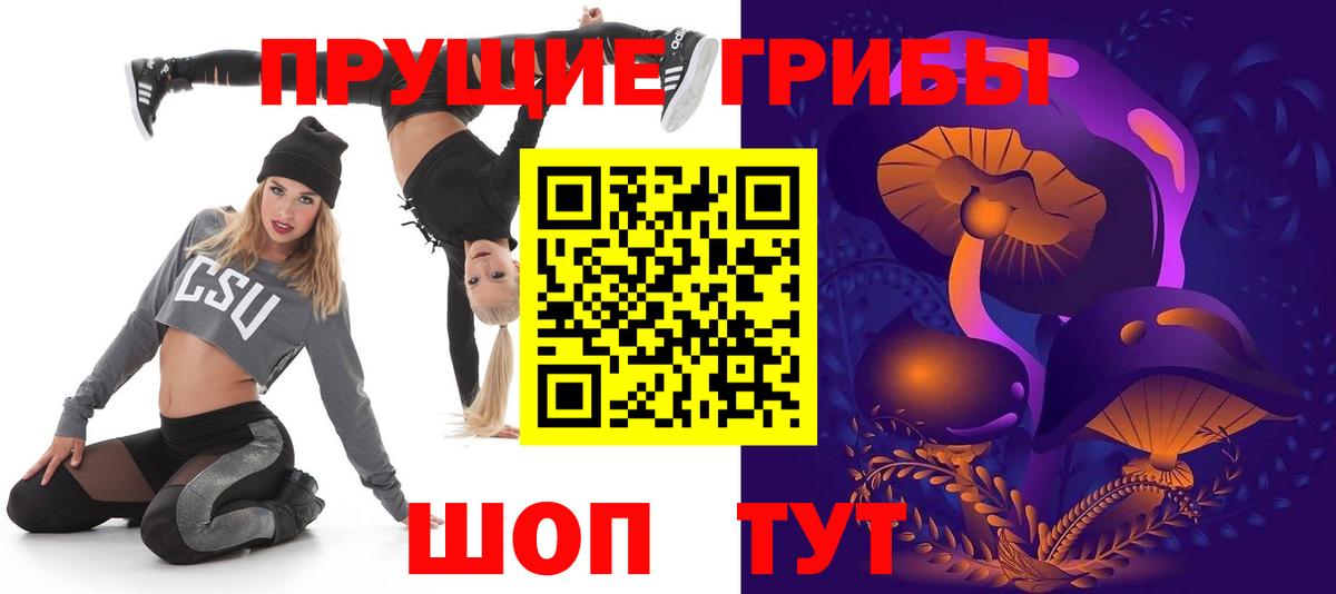 Галлюциногенные грибы Cubensis Егорьевск